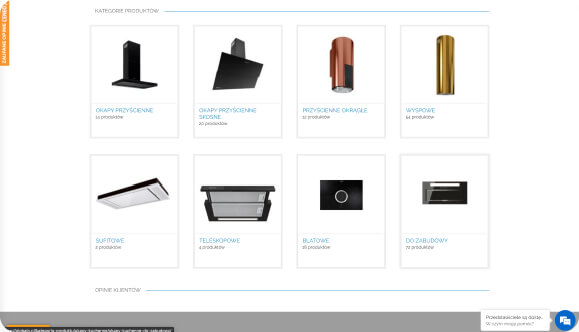Screenshot strony Globalo "produkty"
